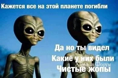 db3bae1ab99dd17d715eb.webp
