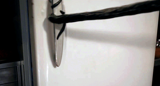 db4968fa298797285d5b8dbb2f7f1f4450080e8f.gif