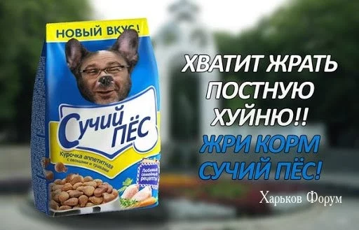 db69443db0b2536a7.webp