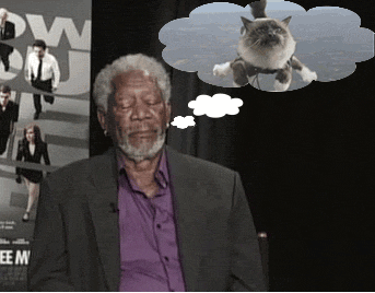 db6fb91afd9dc18ec8c64.gif