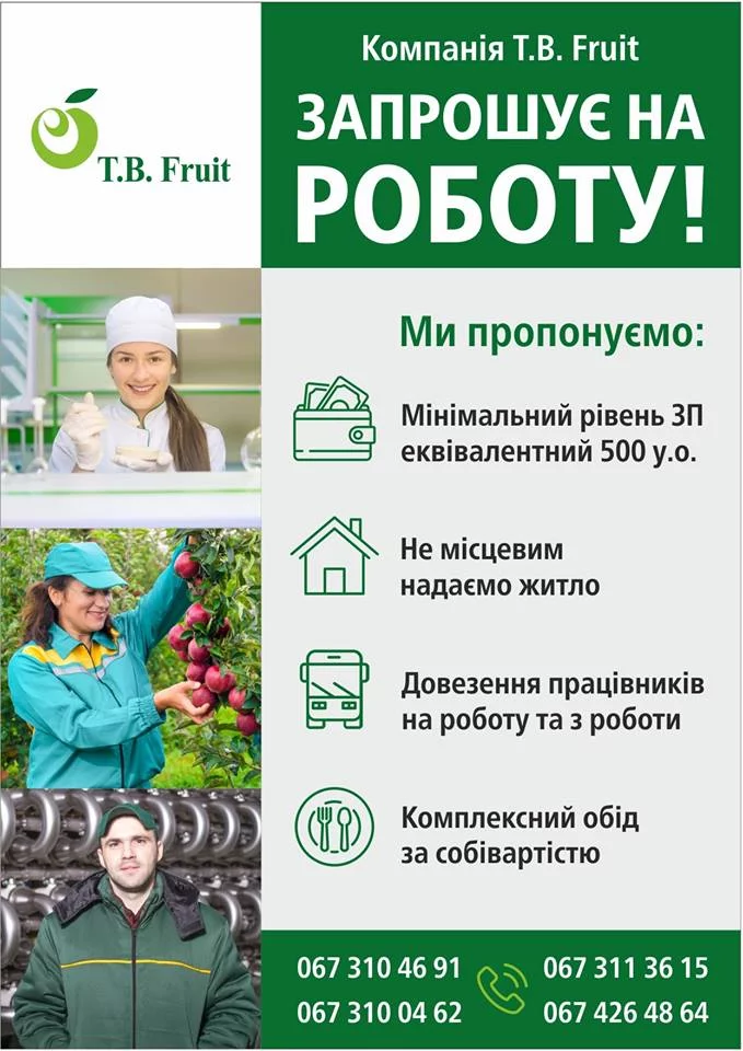 db6ffc.webp