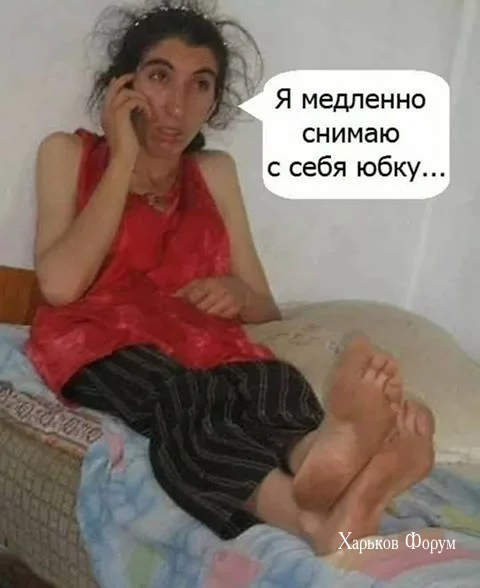 dba28b1c9844a0739ecb435f.webp