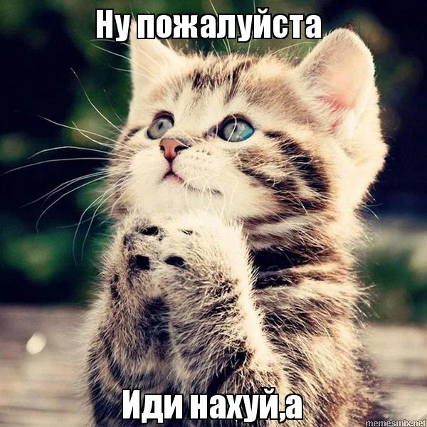 dba6bb.webp