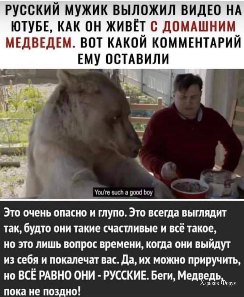 dbb2e9cacd4e2e1e7787.jpg
