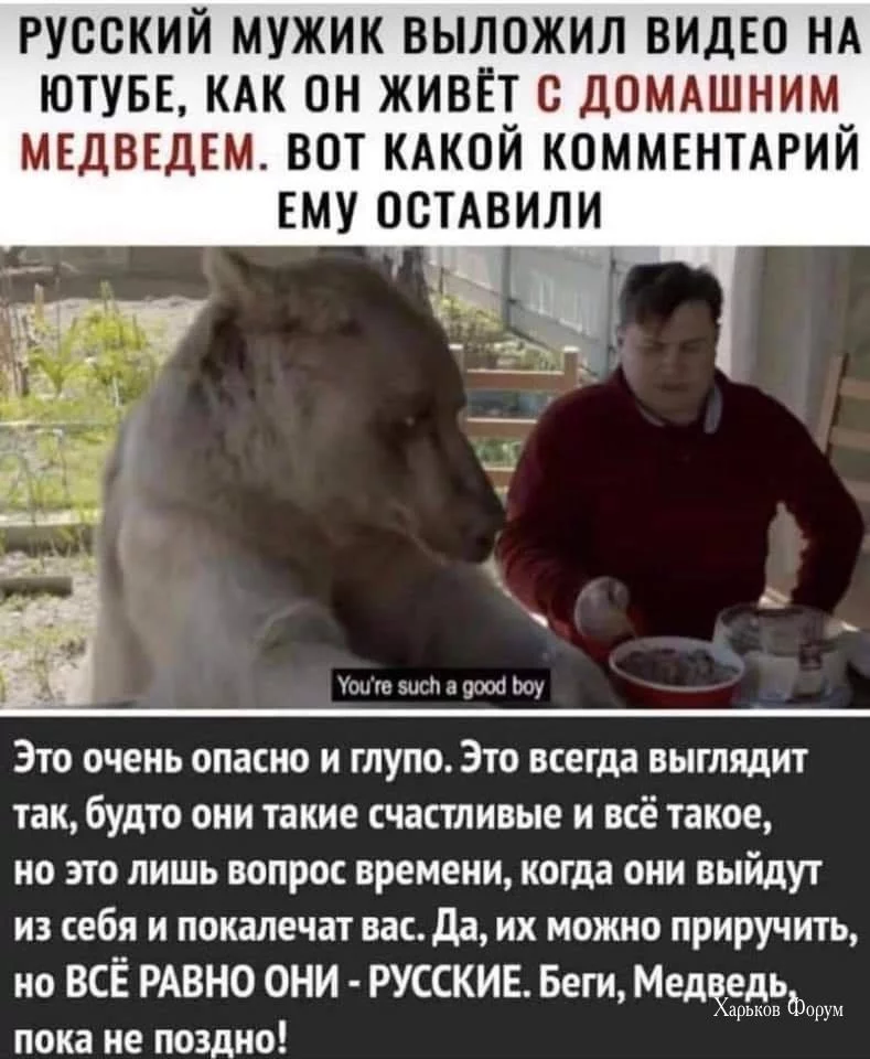 dbb2e9cacd4e2e1e7787.webp