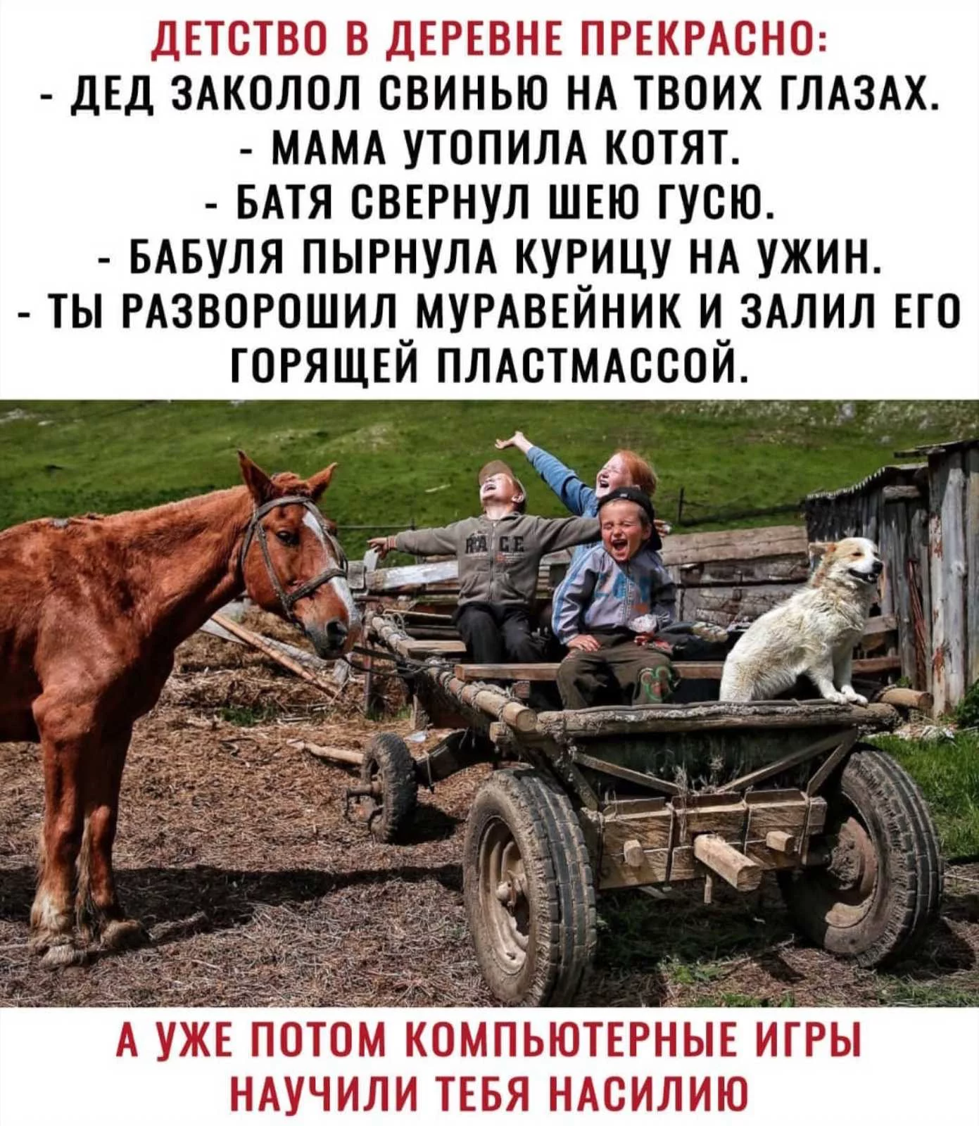 dbb76acf0160081b2ceb16616cae66110ff57d5a.webp