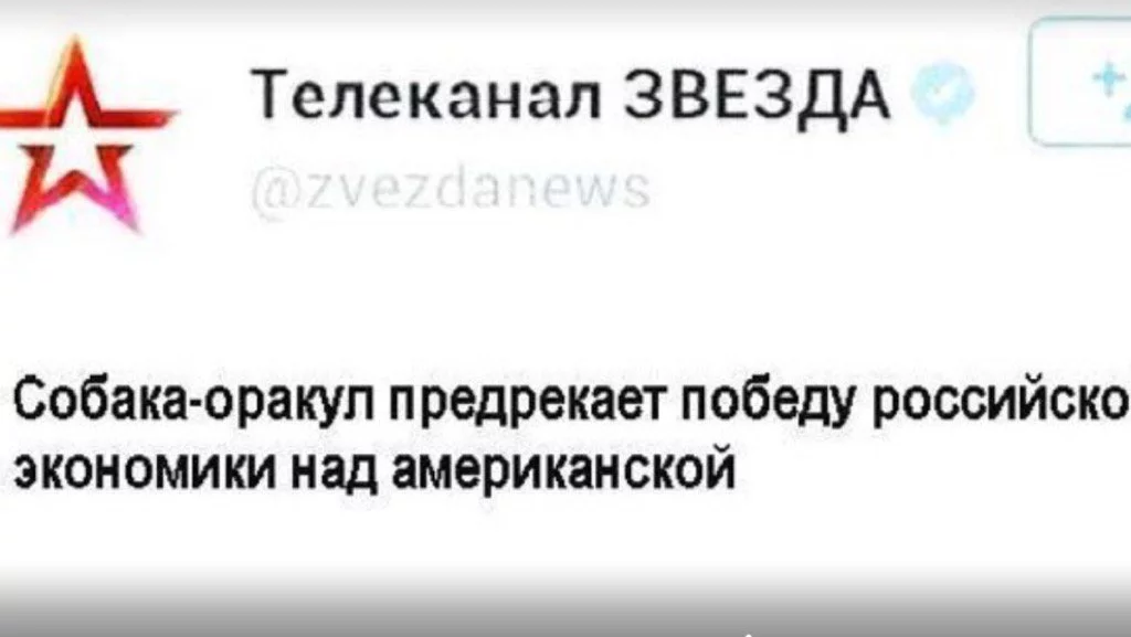 dbba6h.webp