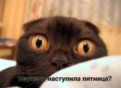 dbbfj3.webp