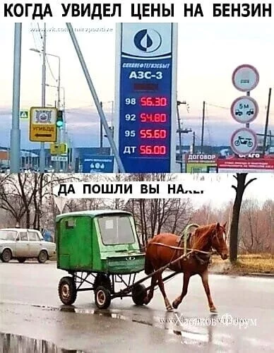 dbc22e2ab9a502ed600fba1.webp
