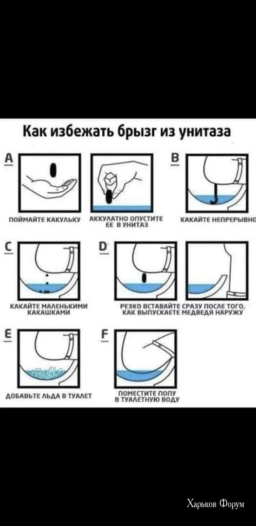 dbc2440d3a1b4b776.webp