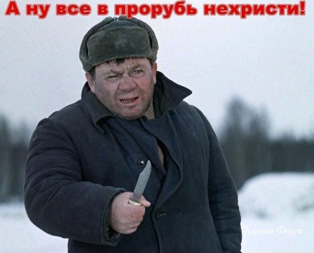 dbc4af3d5f3d42d219c7.jpg