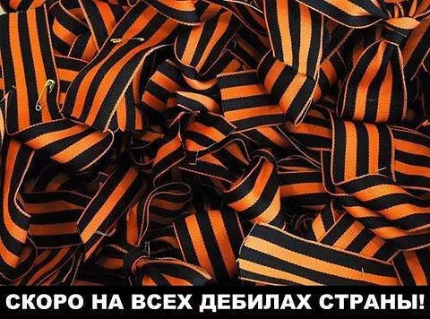 dbcd7e.webp