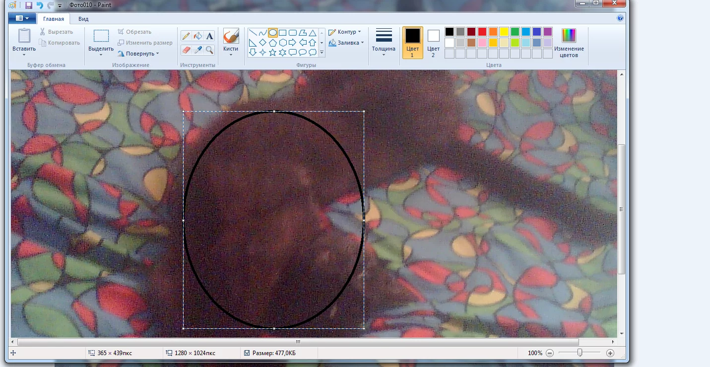 dbce5c.webp