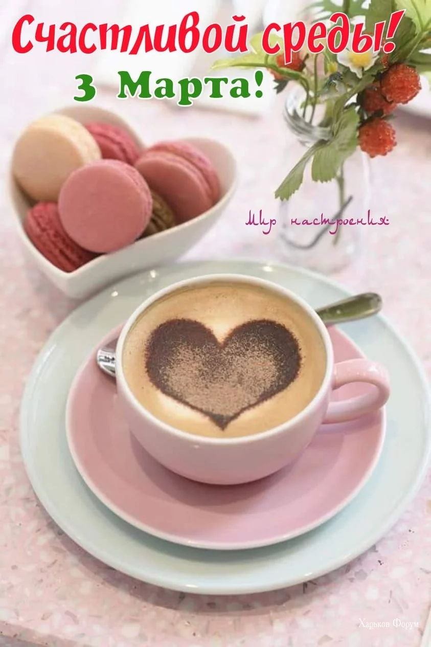 dbd208cd0882588c47b7ab.webp