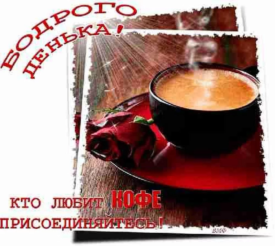 dbd3ce.webp