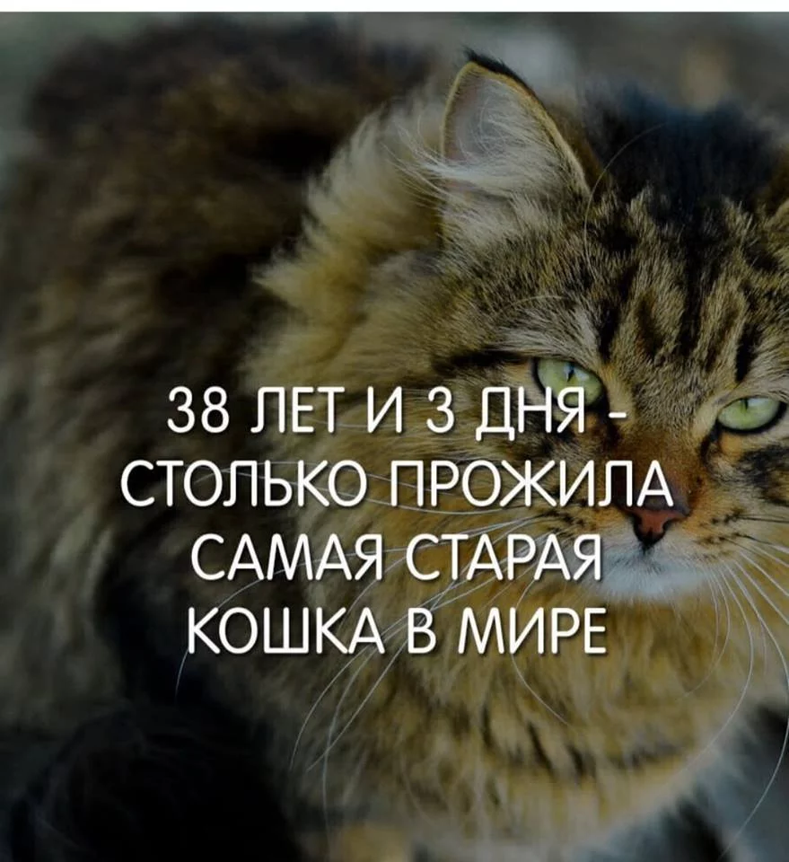 dbdjb8.webp