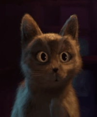 dbe1bed7d55917e940c57f8.gif