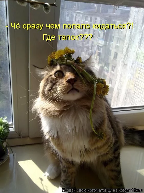 dbe5cb.webp