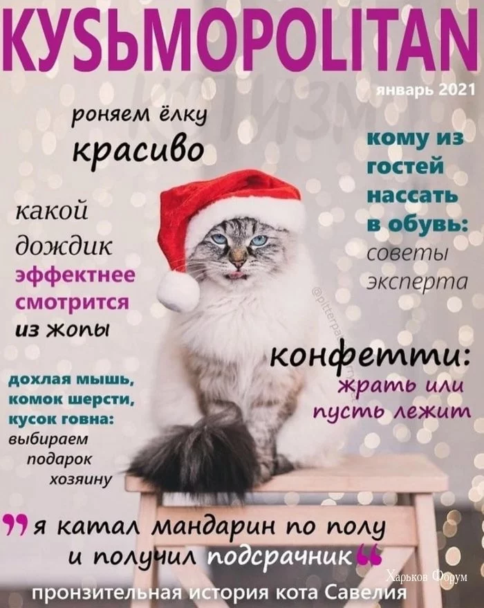 dbef01c7215590922.webp