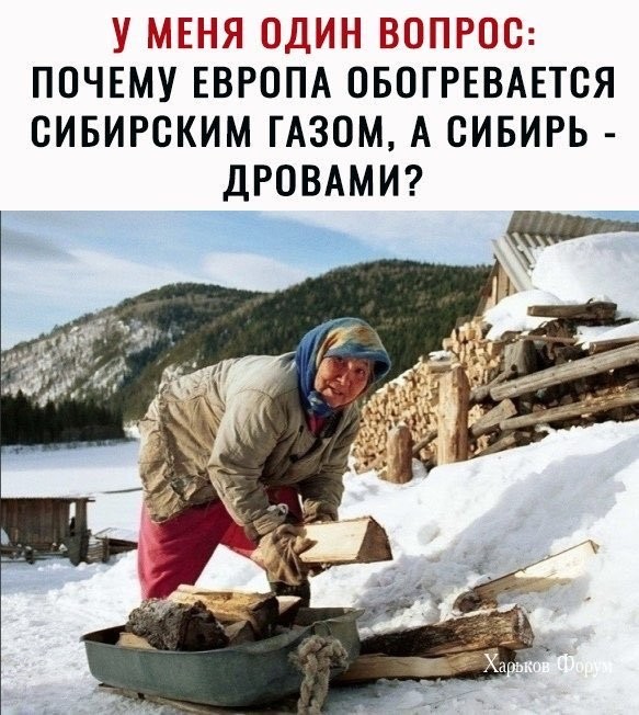 dbf4876433fb3028d2c8a3a0.jpg