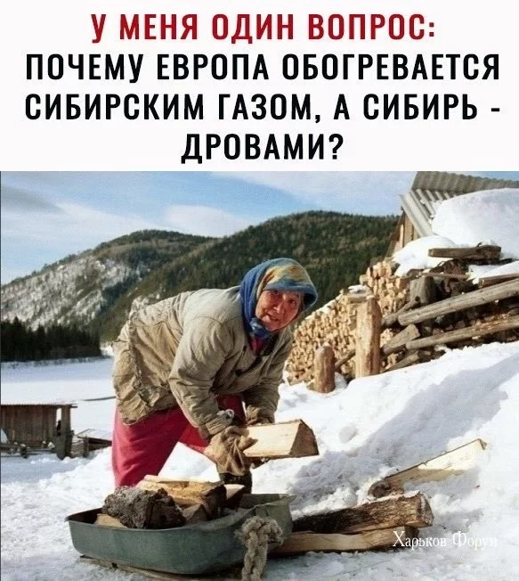 dbf4876433fb3028d2c8a3a0.webp