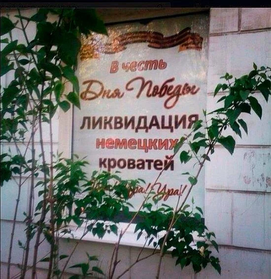 dbfhf0.webp