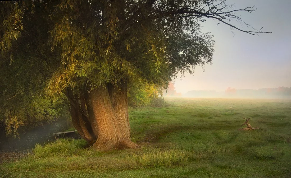 DBG4IJSwJZE.webp