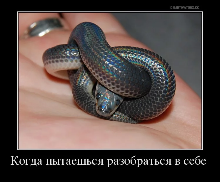 dbgc2j.webp