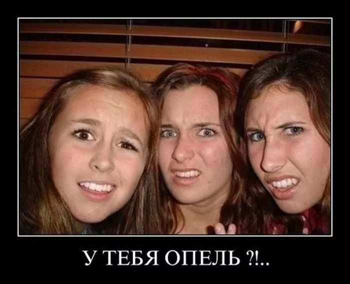 dbhb2c.webp