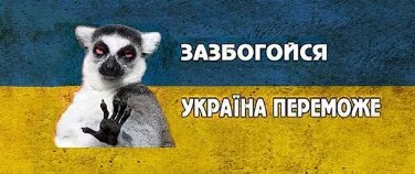 dbjd1h.webp