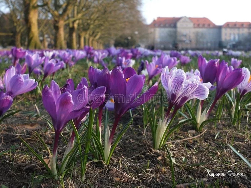dc02aec91368d8c26e90a2.webp