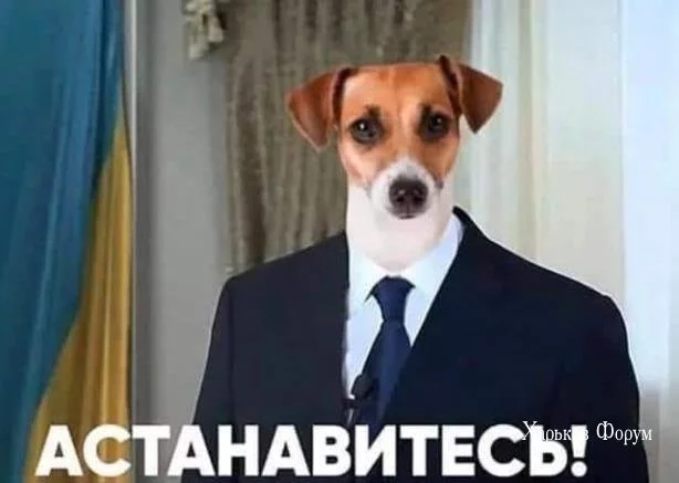 dc16763a33be7eb0d06.webp