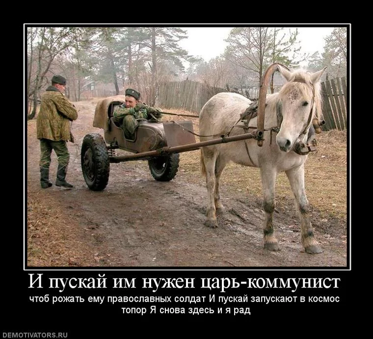 dc32eb89063db793502a9b697058cc49.webp