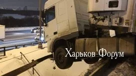 dc344c882a48c426.webp