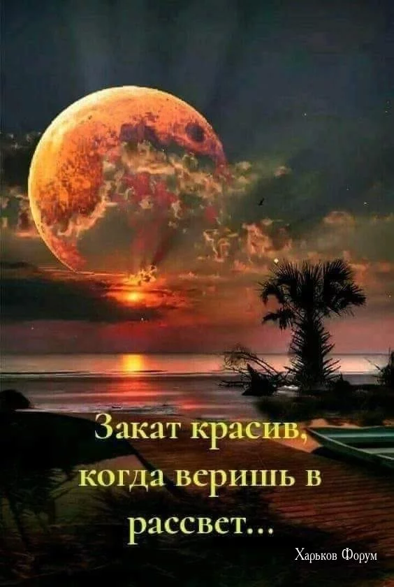 dc5d529ec2ab6426056a8978.webp