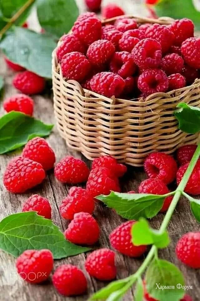 dc5e873b4a6334a2062bfb.webp