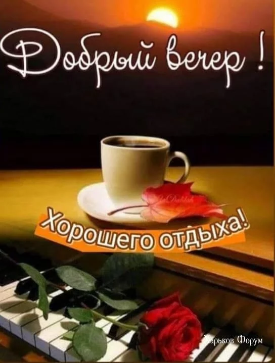 dc633544fe6f0a34d53760.webp
