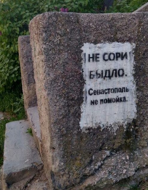 dc6cch.jpg