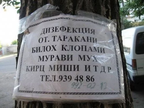 dc7741de0e3f2eeac6f9920a83ae1a9c.webp