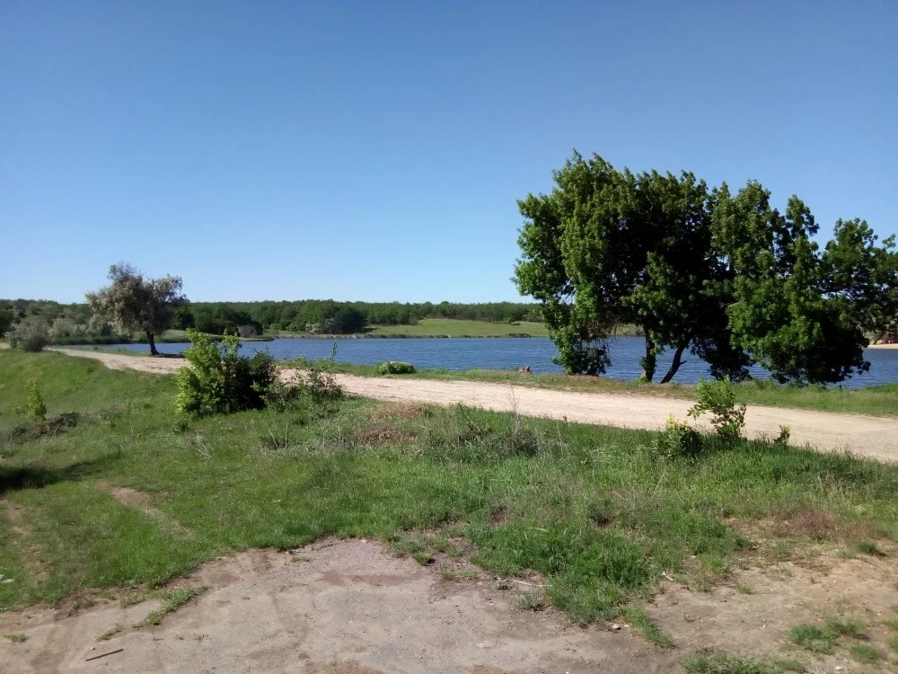 dc7aff.webp