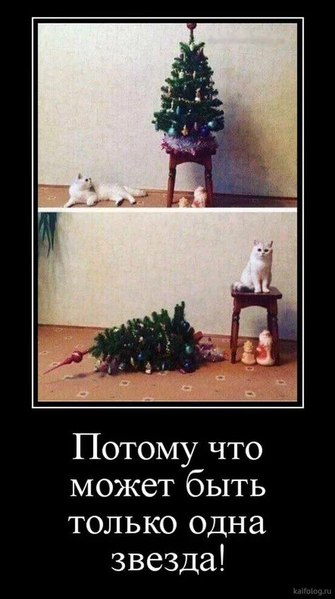 dc85b67329a2415e17d6e02904c10567.webp