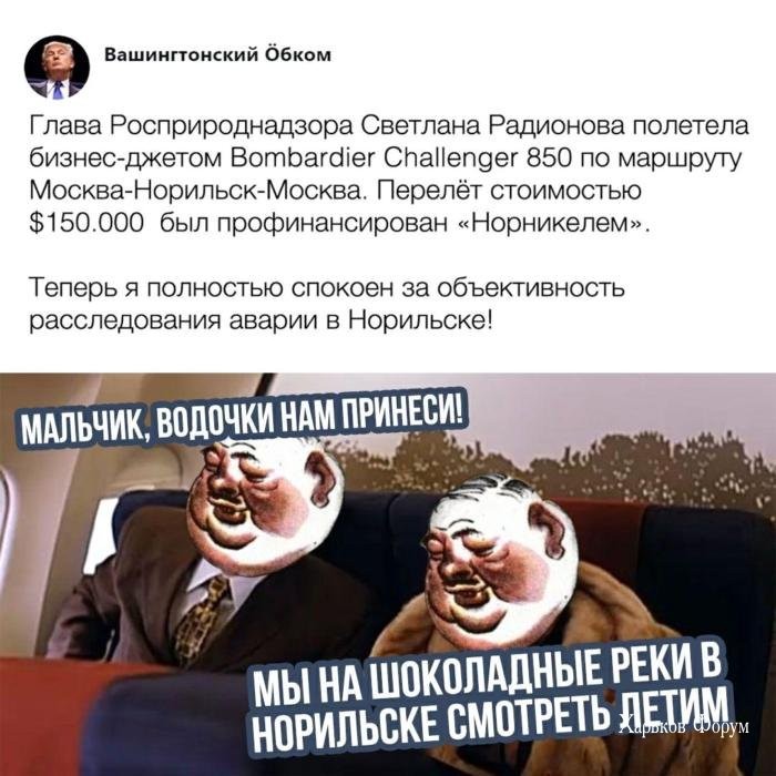 dc8949b76bf4ca537.jpg