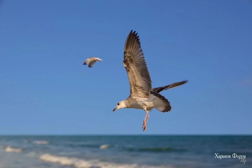 dc9134b57291b00ef422ff8.webp
