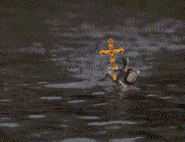 dc9bab.gif