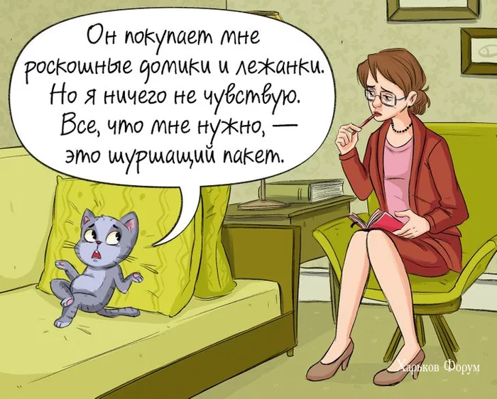 dc9bd45884ba83bedd80fe1.webp