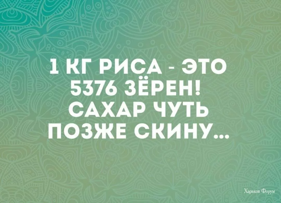 dca21382428c760400ae1.webp