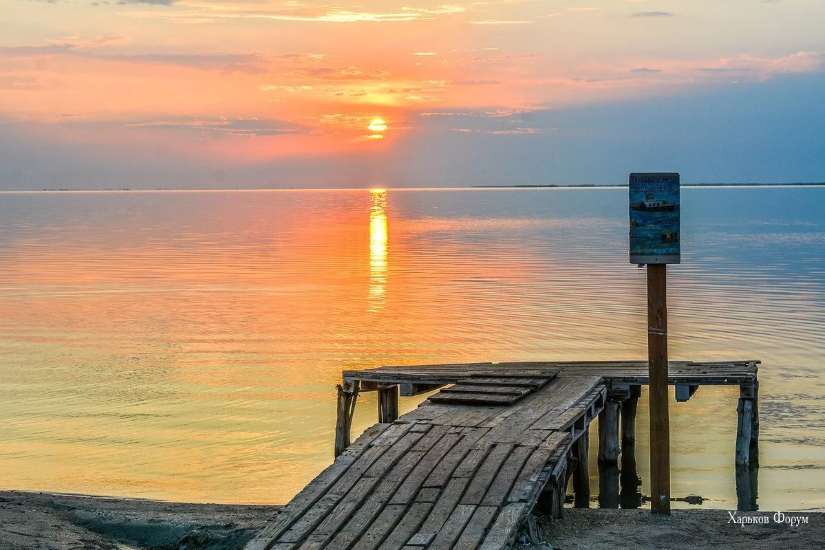 dcbecd611b1ed6995.webp