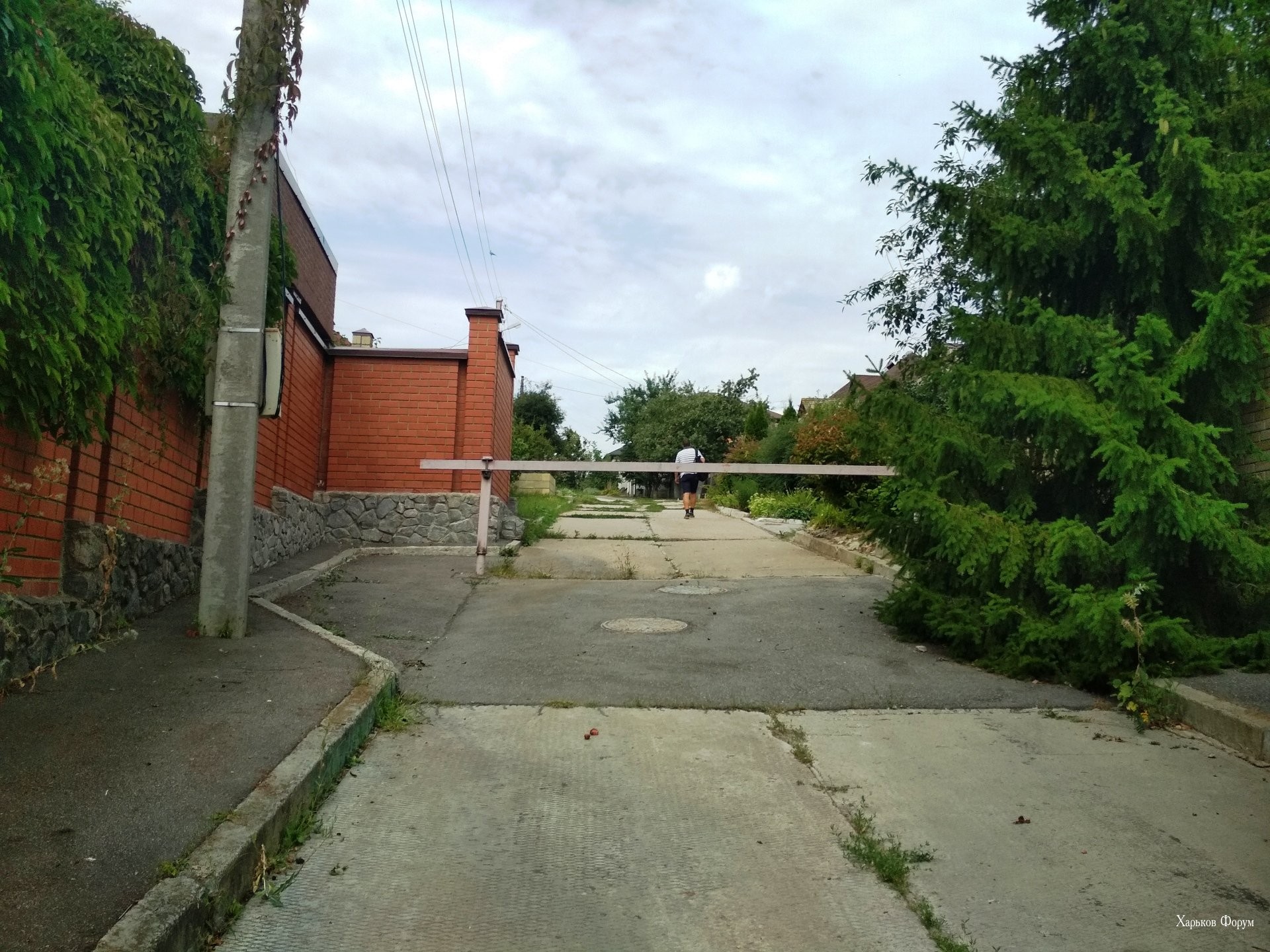 dcbf231314dbd2bc7d279.jpg
