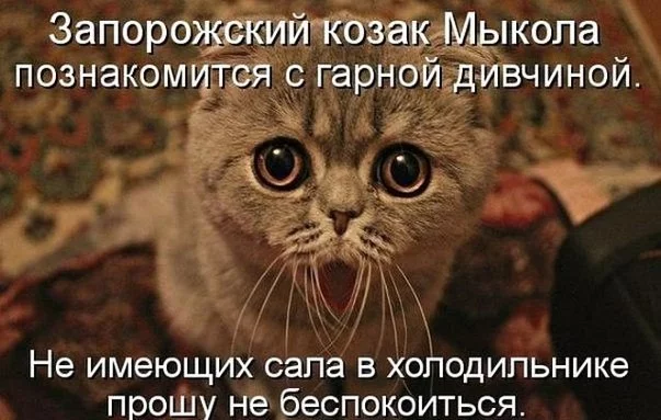 DCbQ4WzRJ4I-e1401894839429.webp