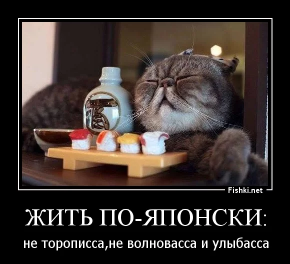 dccjd4.webp